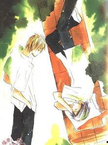 赤色谎言,探寻历史真相的历程