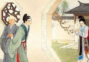 休病夫她转身嫁首辅